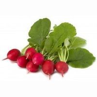 Rábano redondo, unidad