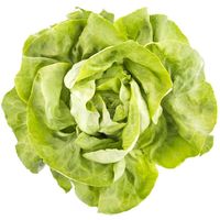 Lechuga Trocadero, unidad