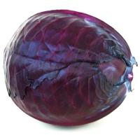 Lombarda del País Vasco, pieza al peso aprox. 700 g Lombarda del País Vasco, pieza al peso aprox. 700 g