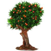 Arbol frutal para Belén ¿Cuál te llegará? ¡Es sorpresa!, 1 ud