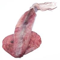 Calamar fresco 250-550, al peso, compra mínima 500 g