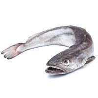 Merluza de anzuelo entera, pieza al peso aprox. 2.5 kg