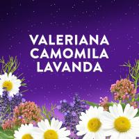 Gominolas de melatonina Forte ZZZQUIL, bote 60 uds Gominolas de melatonina Forte ZZZQUIL, bote 60 uds