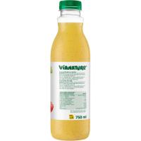 Zumo de kiwi Gold VIANATURE, botella 750 ml