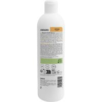 Champú de cebolla repair BABARIA, bote 380 ml