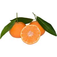 Mandarina con hoja, al peso, compra mínima 1 kg