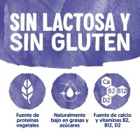 Postre a base de soja y blueberry ALPRO, pack 4x125 g