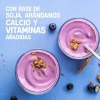 Postre a base de soja y blueberry ALPRO, pack 4x125 g
