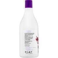 Champú extracto de cebolla INSTITUTO ESPAÑOL, bote 750 ml