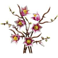 LEGO BOTANICALS Magnolia adarrak, gom. adina: +18 urte