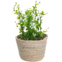 Planta artificial: Eucalipto en maceta de paja KASA, Ø13x25 cm