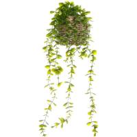 Planta artifical colgante larga KASA, 25x13x13 cm