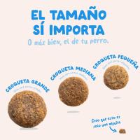 Pienso de salmón s/ cereal perro mini EDGARD&COOPER, saco 700 g