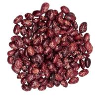 Alubia palmeña, al peso, compra mínima 500 g Alubia palmeña, al peso, compra mínima 500 g