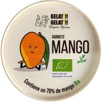 Helado de mango BIO GELATI GELATI, tarrina 520 ml