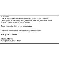 Creatina monohidrato ONEVIT, bote 150 uds