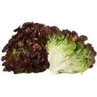 Lechuga Hoja de Roble EROSKI, unidad