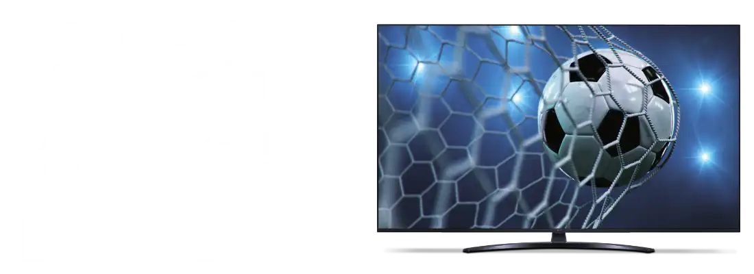 No visquis el Mundial... viu-lo!