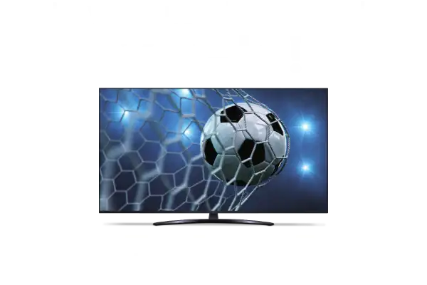 No visquis el Mundial... viu-lo!