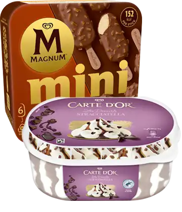 Productos Magnum