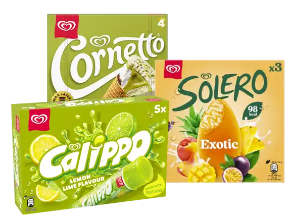 Productos Magnum
