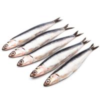 Boquerón de costa, al peso, compra mínima