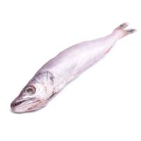 Pescadilla grande balear, pieza al peso aprox.