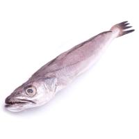 Pescadilla balear, pieza al peso aprox.