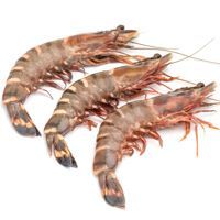 Langostino jumbo 10-15, al peso, compra mínima 500 g