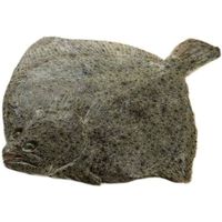 Rodaballo salvaje, pieza al peso aprox.