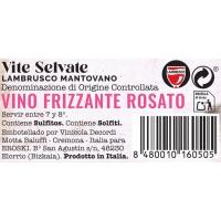 Vino Lambrusco Mantova VITE SELVATE, botella 75 cl