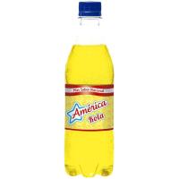 Andin`s cristal kola AMÉRICA, botella 50 cl