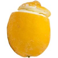 Fruta helada de limón BORNAY, 1 ud., 165 g