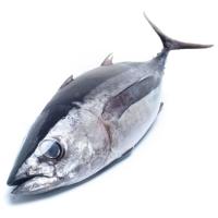 Bonito entero EROSKI NATUR MSC, pieza al peso aprox. 7 kg