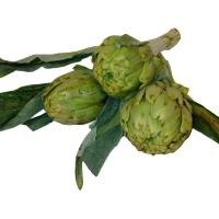 ALCACHOFA 1/2 DOCENA C.NAVARRA