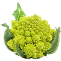 Romanesco de Navarra, unidad