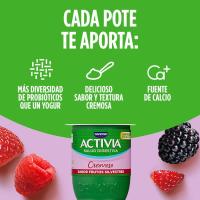 DANONE ACTIVIA % 0 jogurt krematsua basafruituekin, sorta 4x125 g