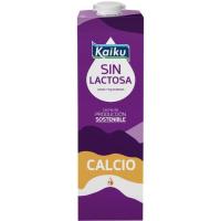 Leche sin lactosa calcio KAIKU, brik 1 litro
