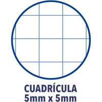 Cuaderno de espiral A4 Europeanbook5, cuadrícula 5x5, microperforado, tapa de plástico ¿Cuál te llegará? 100430278 OXFORD, 120 hojas+50% gratis