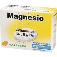 VALLESOL magnesioa + B bitaminak, kutxa 24 konprimitu