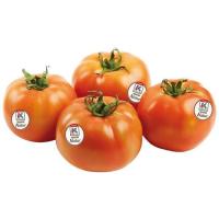EROSKI NATUR EUSKO LABEL tomatea, pisura, gutxieneko erosketa 500 g