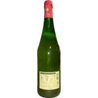 Sidra natural D.O. Euskal Sagardoa BEGIRISTAIN, botella 75 cl