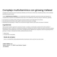 Complemento vitamina c-melisa-zinc VALLESOL, caja 24 comprimidos