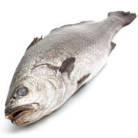 Corvina EROSKI NATUR GGN, pieza al peso aprox. 3 kg