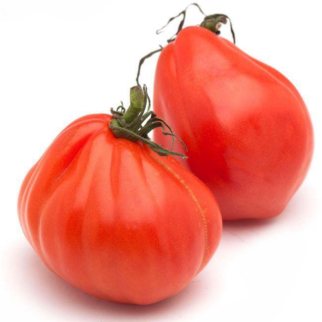 500 G De Tomates Combien De Tomates