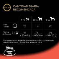 Alimento de buey-verduritas para perro CESAR, tarrina 300 g