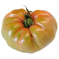 Tomate gigante Antares, al peso, compra mínima 500 g