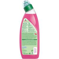 Limpiaor wc gel olor frambuesa FROGGY, botella 750 ml