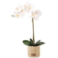 Planta artificial: Orquidea blanca con tiesto trenzado color natural,  10x50 cm