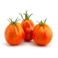 VOLLEY tomatea, pisura, gutxieneko erosketa 500 g